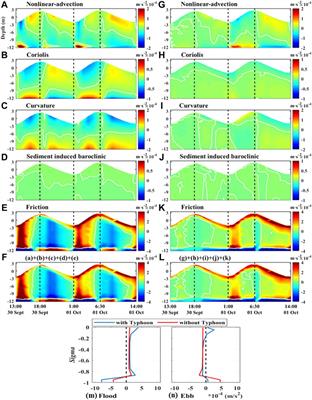 Effects of wave-current interactions on sediment dynamics in Hangzhou Bay during Typhoon Mitag